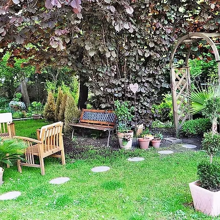 Apartment Hacienda Susana Bad Harzburg